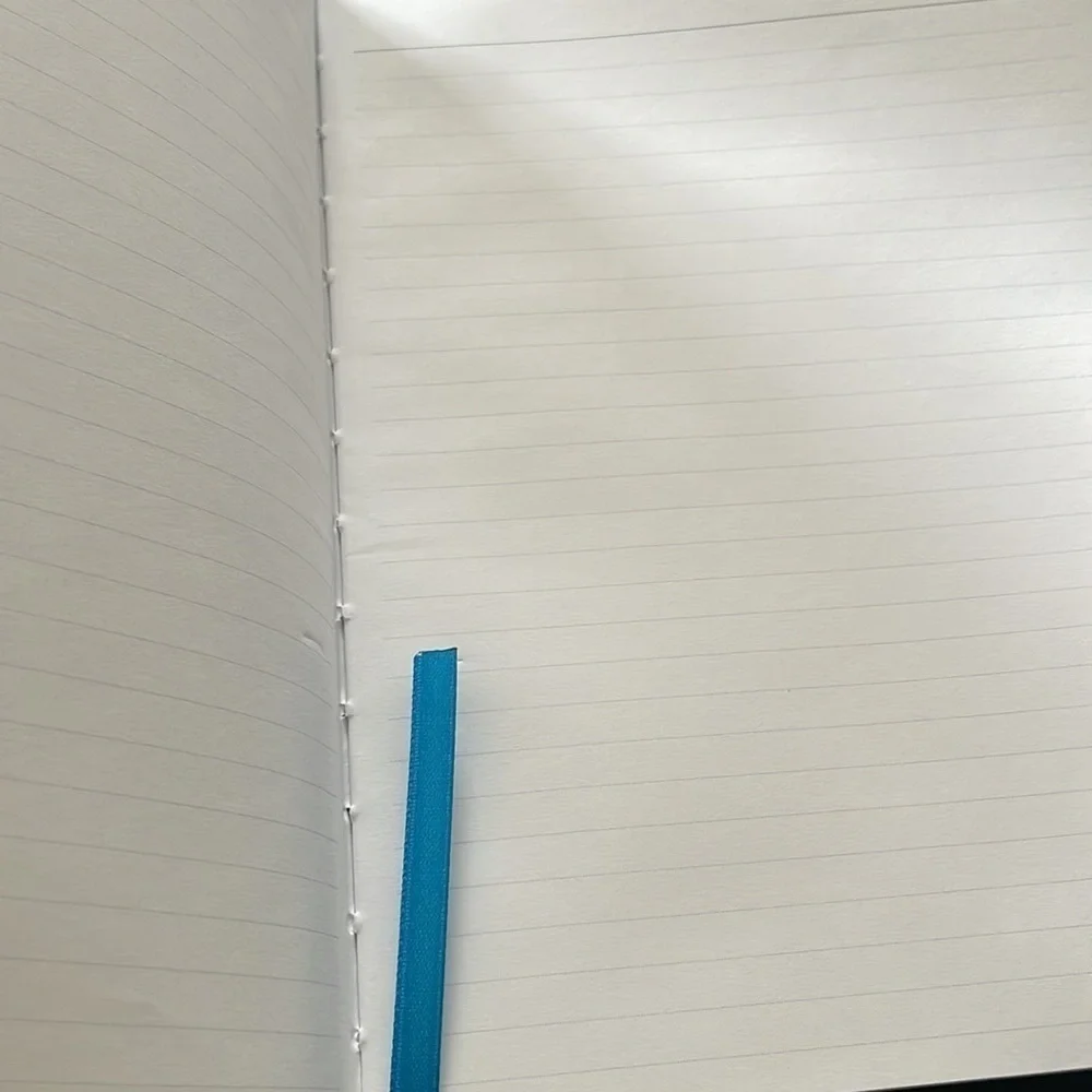 Journal lined paper and metallic gel retractable pin set